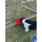 Image 4 of customer photos