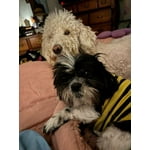 Image 2 of customer photos