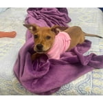 Image 6 of customer photos