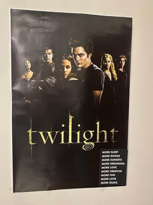 Twilight - Group Laminated Poster (24 x 36) - Walmart.com