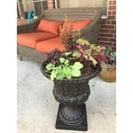 Image 3 of customer photos