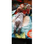 Image 4 of customer photos