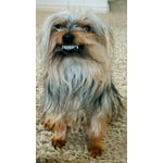 Image 7 of customer photos