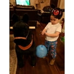 Image 2 of customer photos