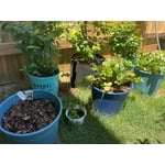 Image 6 of customer photos