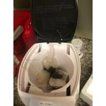 Image 2 of customer photos