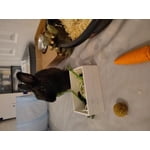 Image 7 of customer photos