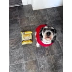 Image 5 of customer photos