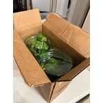 Image 6 of customer photos