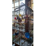 Image 1 of customer photos