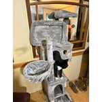 Image 6 of customer photos