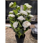 Image 5 of customer photos