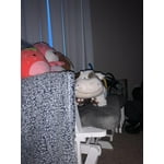 Image 2 of customer photos