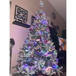 Image 3 of customer photos