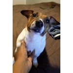 Image 3 of customer photos