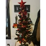 Image 7 of customer photos