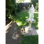 Image 6 of customer photos