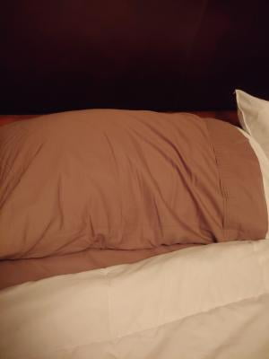 Sertapedic Cool Slumbergel Pillows Standard Queen Set Of 2