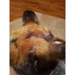 Image 7 of customer photos