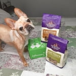 Image 6 of customer photos