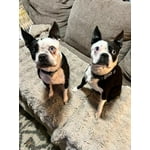 Image 1 of customer photos