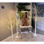 Image 3 of customer photos