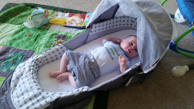 snuggle nest traveler