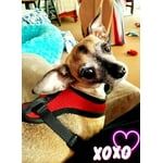 Image 5 of customer photos