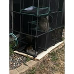 Image 5 of customer photos