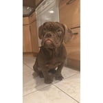 Image 3 of customer photos