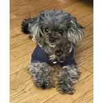 Image 4 of customer photos