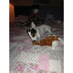 Image 5 of customer photos