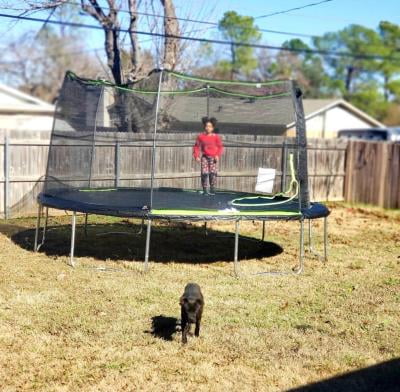 Jumpking Advanced 14 Trampoline With Enclosure Green Walmart Com Walmart Com
