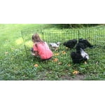 Image 1 of customer photos