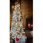 Image 4 of customer photos