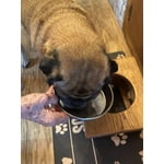 Image 5 of customer photos