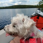 Image 2 of customer photos