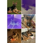 Image 1 of customer photos