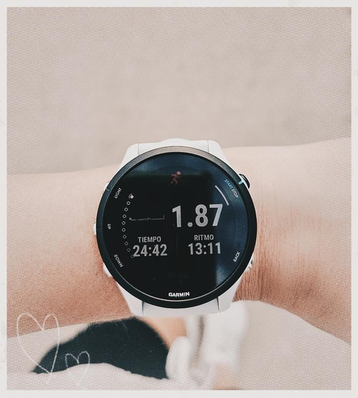 Garmin Forerunner 255 Music - 46 mm - whitestone - sport watch