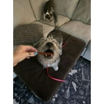 Image 4 of customer photos