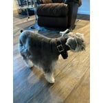Image 1 of customer photos