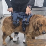 Image 5 of customer photos