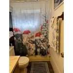 Image 1 of customer photos