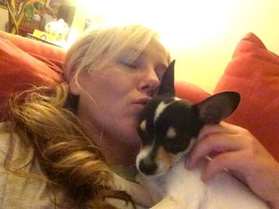 seresto small dog walmart