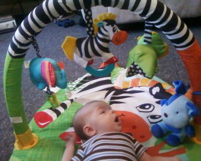 infantino explore and store activity gym