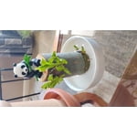 Image 3 of customer photos