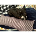 Image 2 of customer photos