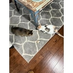 Image 7 of customer photos