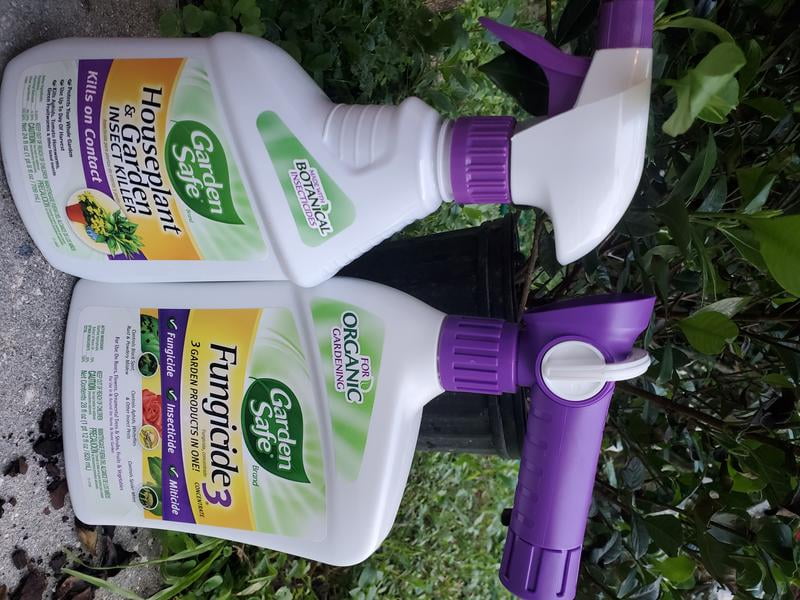 Garden Safe Brand Houseplant & Garden Insect Killer, Organic Spray, 24oz -  Walmart.com