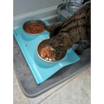 Image 6 of customer photos